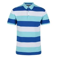 Vyriški medvilniniai polo marškinėliai Regatta Maxen - Anitgua Stripe