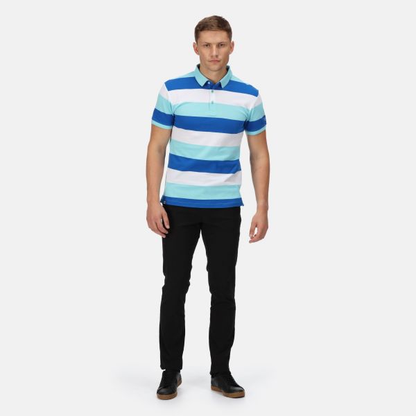 Vyriški medvilniniai polo marškinėliai Regatta Maxen - Anitgua Stripe