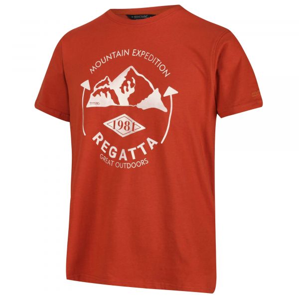 Vyriški medvilniniai marškinėliai Regatta Cline IV - ruda