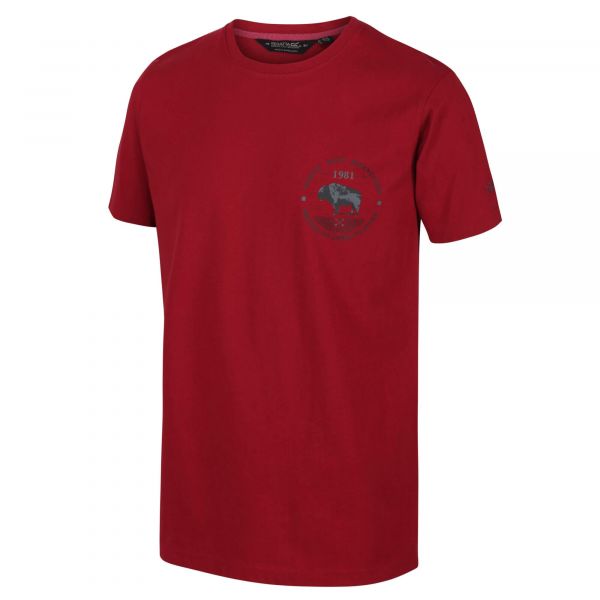 Vyriški medvilniniai marškinėliai Regatta Cline IV - raudona