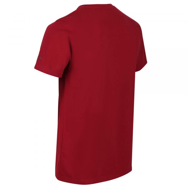 Vyriški medvilniniai marškinėliai Regatta Cline IV - raudona