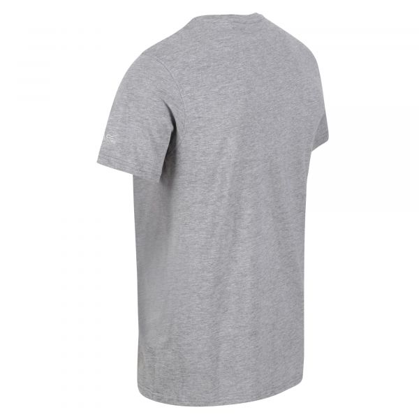 Vyriški marškinėliai Regatta Cline VI - pilka