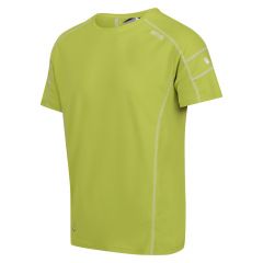 Vyriški marškinėliai Regatta Virda III - žali