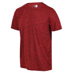 Vyriški marškinėliai Regatta Fingal Edition - raudona, rausva