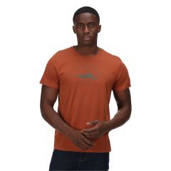 Vyriški marškinėliai Regatta Cline VI - ruda
