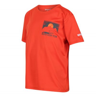Vaikiški marškinėliai Regatta Alvarado VII - oranžiniai