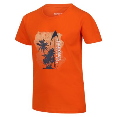 Vaikiški marškinėliai Regatta Bosley VI - oranžiniai