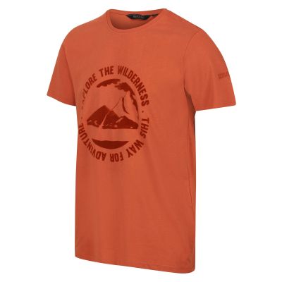 Vyriški marškinėliai Regatta Cline VII - oranžiniai
